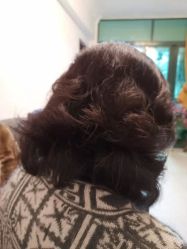 -HairCode芭曲发型