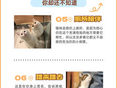 -唐小姐の猫狗洗护·购宠旗舰店(周浦万达店)