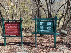 -龙道沟景区