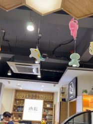 -心联形象设计·流星染