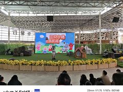 -盈香心动乐园