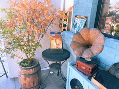 -Hi Fi Acoustic 梵香禅韵·色声香味