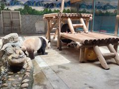 -西安秦岭野生动物园