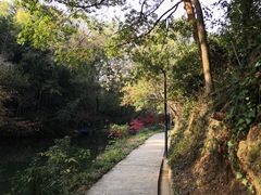 -张鸟园农家乐(张鸟园店)