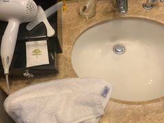 -长沙小天鹅戴斯酒店