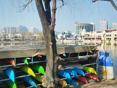 -WhaleSports户外水上运动俱乐部(朝阳公园店)