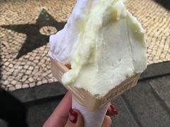 -柠檬车露(卖草地店)