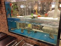 水产区-红叶日料·放题·海胆·定食(星海店)
