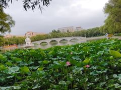 -哈尔滨师范大学-第2学生食堂