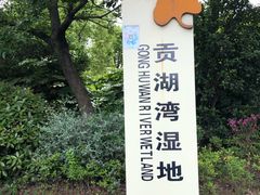 -贡湖湾湿地公园