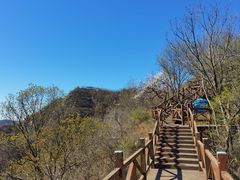 -大岭沟猕猴桃谷风景区