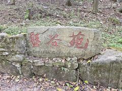 -牛背梁国家森林公园