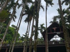 -七仙岭温泉国家森林公园