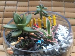 -A+匠心DIY手工坊·首饰·微景观