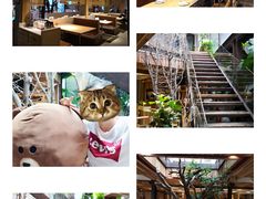 -渔太泰漓江小馆·广西融合菜(西街店)