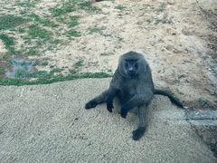 -杭州野生动物世界