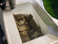 -御品海宴海鲜自助餐厅(龙岗万科广场店)