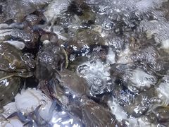 -聚盛源蒸汽海鲜火锅烤肉自助(巨川金海岸购物广场店)