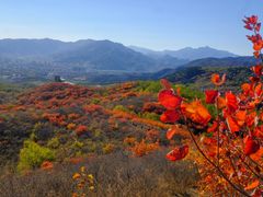 -北京西山国家森林公园