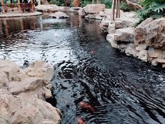 -龙达温泉生态城