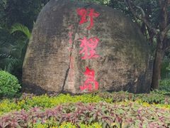 -野狸岛