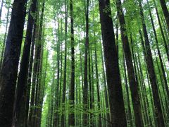 -山王坪喀斯特国家生态公园