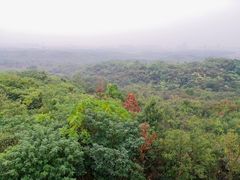 -南京老山国家森林公园