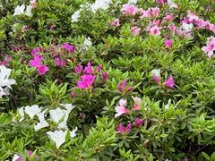 -白塘生态植物园