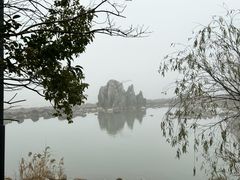 -上海吴淞炮台湾国家湿地公园