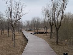 -东郊湿地公园