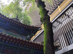 -罔极寺
