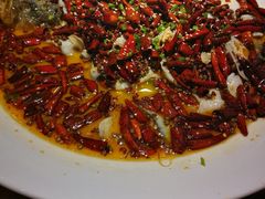 -天堂鸟水煮鱼(经南三路店)