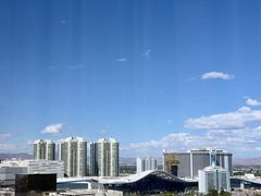 -拉斯维加斯永利酒店