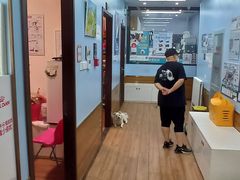 -瑞派·关忠动物医院·异宠专科·犬猫肿瘤·皮肤专科(望京店)