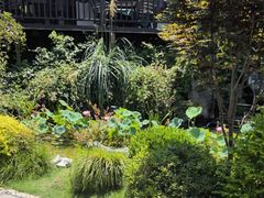 -耕渔小院·湖南鱼鲜(望城店)