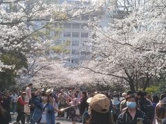-南京林业大学-图书馆