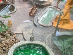 -观澜山水田园