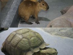 -南昌海洋公园