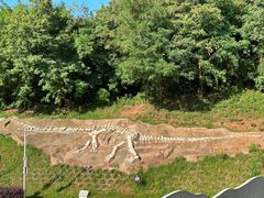 -西峡恐龙遗迹园