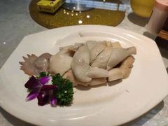 -大树头森林餐厅(番禺广场店)