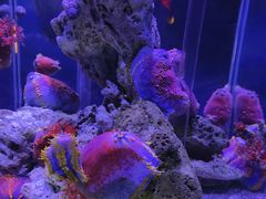 -太平洋海底世界