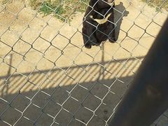 -石家庄市动物园