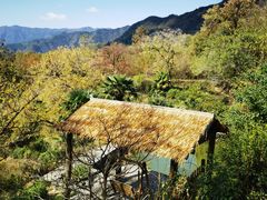 -塔川景区