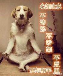 -咪咪比基尼脱毛专业店