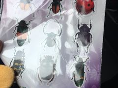 -上海昆虫博物馆