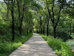 -承德避暑山庄景区