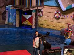 -烟台海昌鲸鲨海洋公园