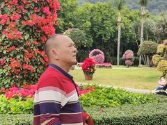 -东南花都花博园