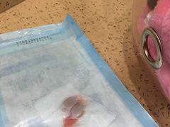 -伟伟宠物医院·CT影像中心·瑞派犬猫综合性门诊(汉口总院)