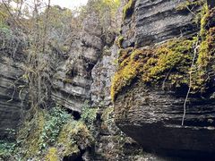 -梭布垭石林景区